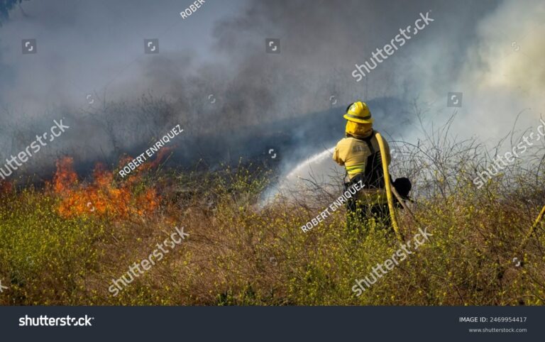 Wildfire Safety Tips